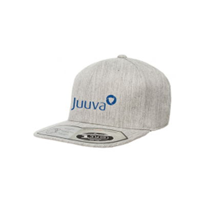 Gray Juuva Snapback Hat